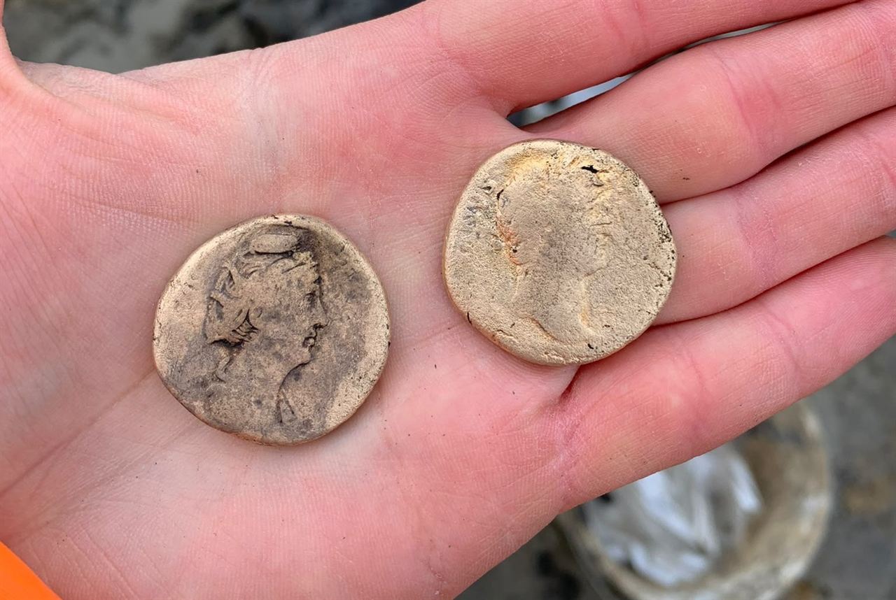 Archaeological artifact - Coins