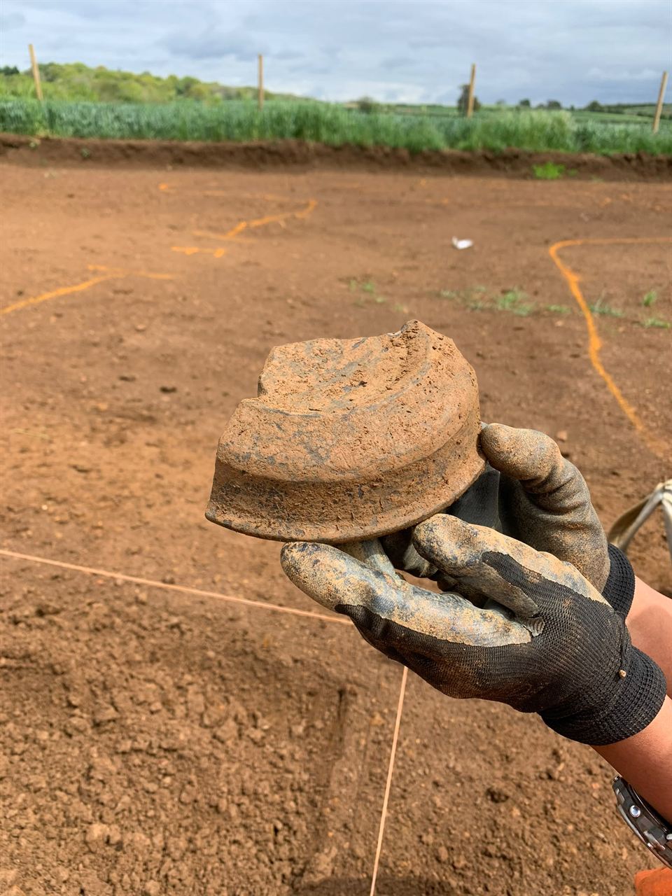 Archaeological artifact - Plate